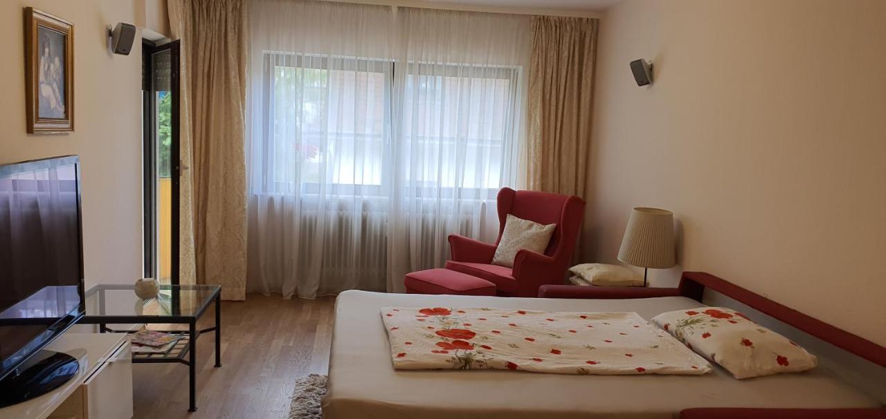 Colibri Apartment บาเดน-บาเดน ภายนอก รูปภาพ