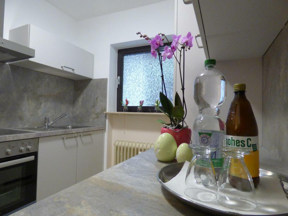 Colibri Apartment บาเดน-บาเดน ภายนอก รูปภาพ